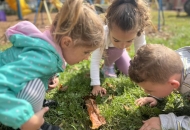 playground.butterfly